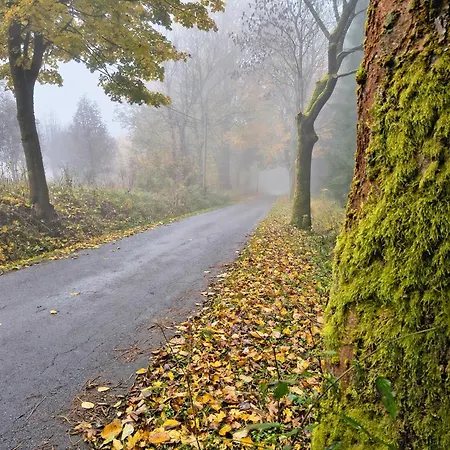 Vakantiehuis Heartspace