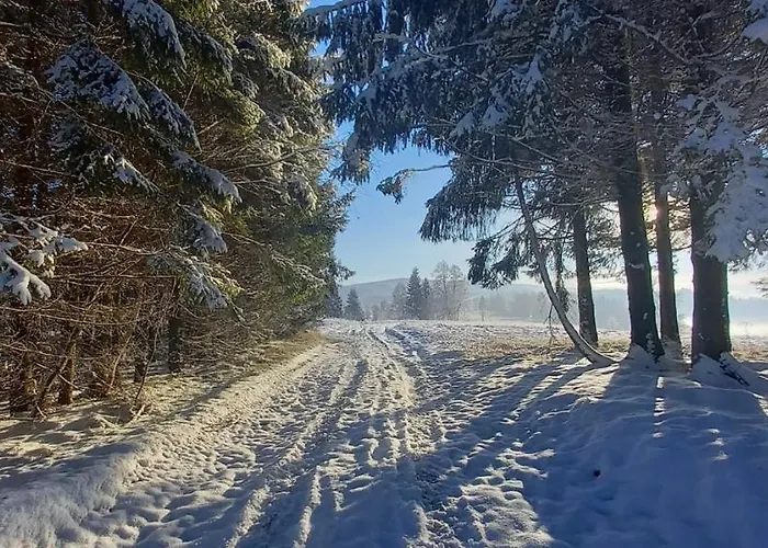 Dom wakacyjny Heartspace Taszów Taszow