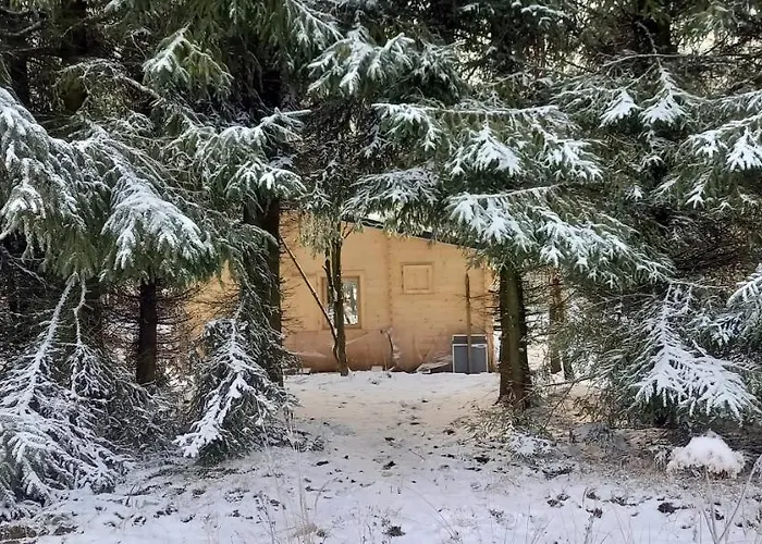 Dom wakacyjny Heartspace Taszów Taszow