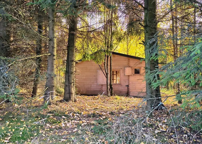 Dom wakacyjny Heartspace Taszów