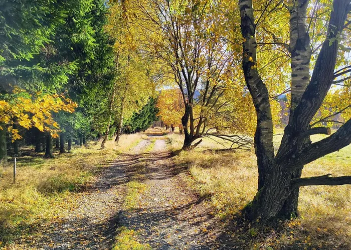 Heartspace Taszów Dom wakacyjny *