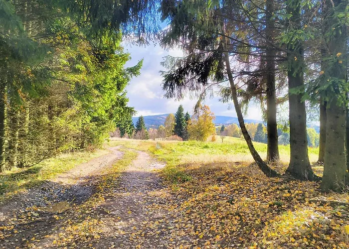 Heartspace Taszów *